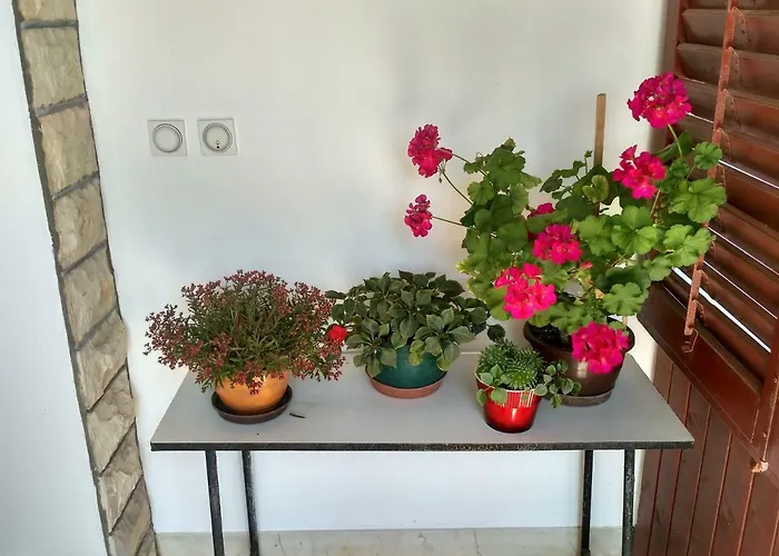 Tonica Apartamento *