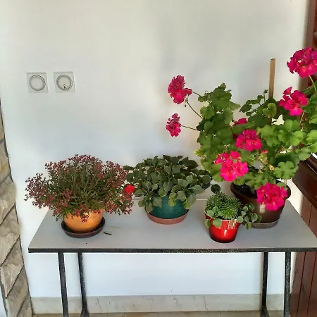 Tonica Appartement *